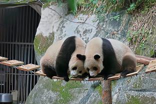 热身赛：徐根宝任总教练的上海05年龄段全运队0-4上海海港队